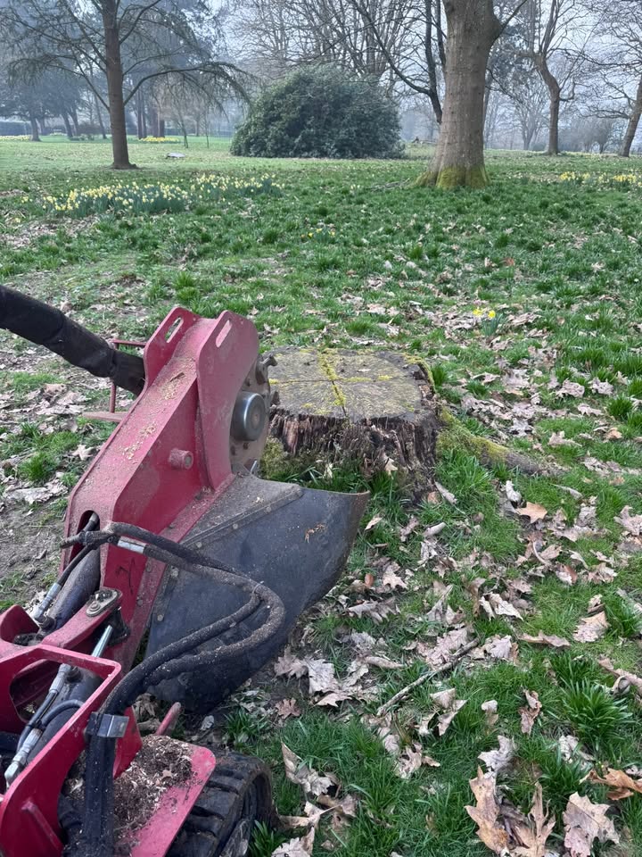 MJC Tree&Garden services
