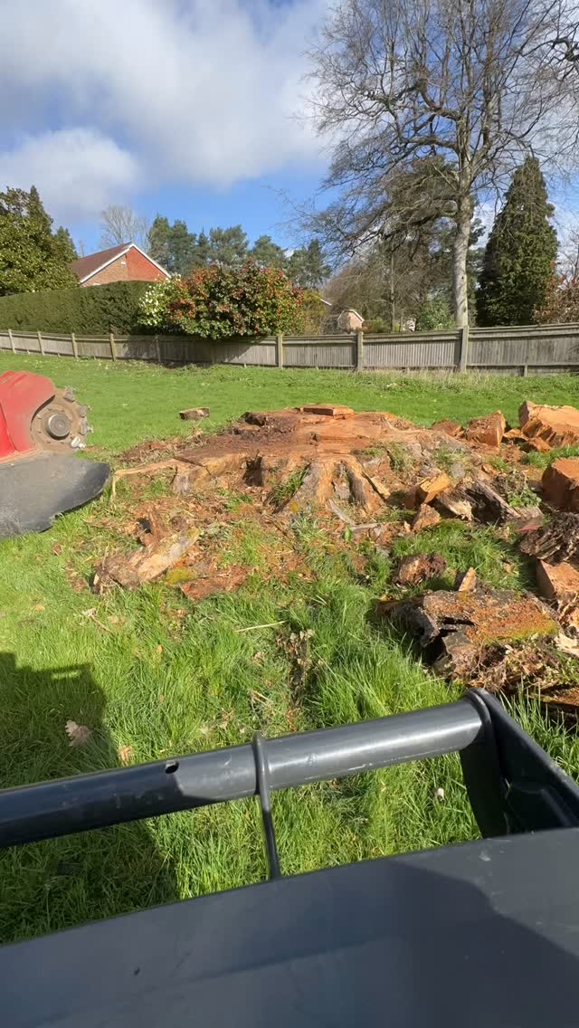 MJC Tree&Garden services