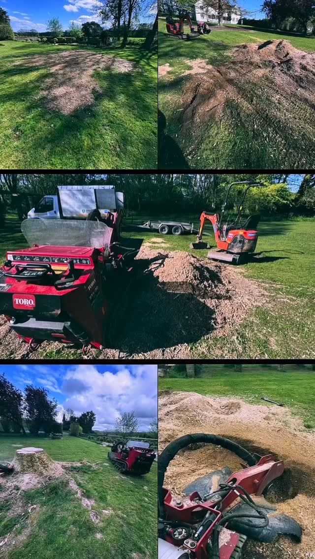 MJC Tree&Garden services