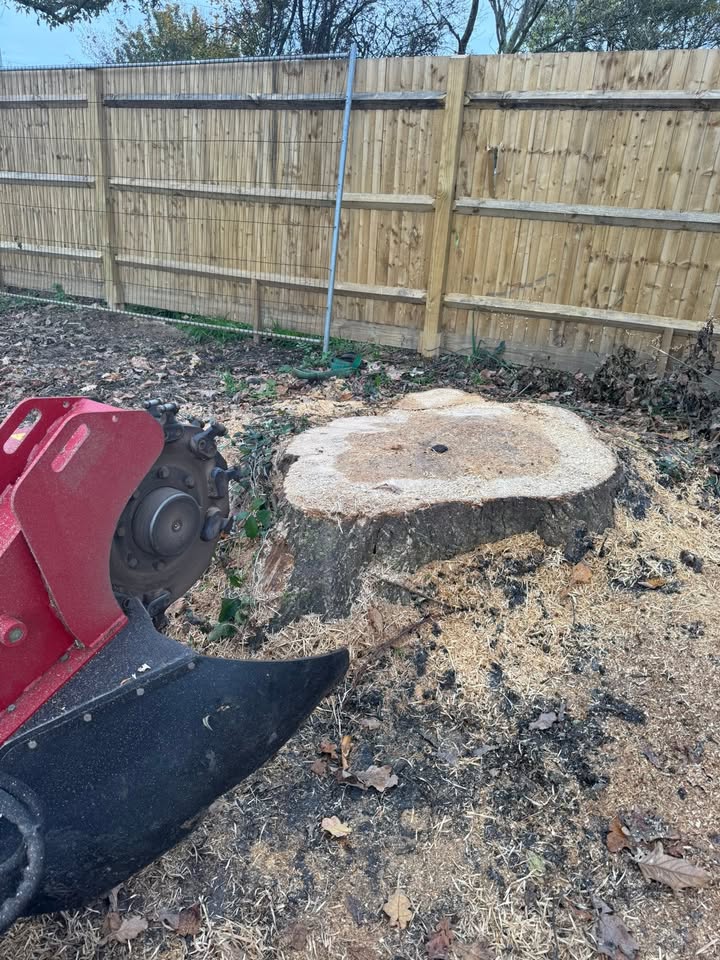 MJC Tree&Garden services